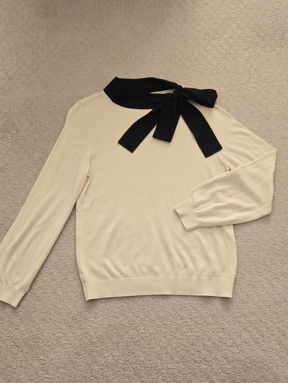 EUC--Ann Taylor Sweater (XL)